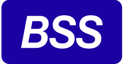 Логотип BSS