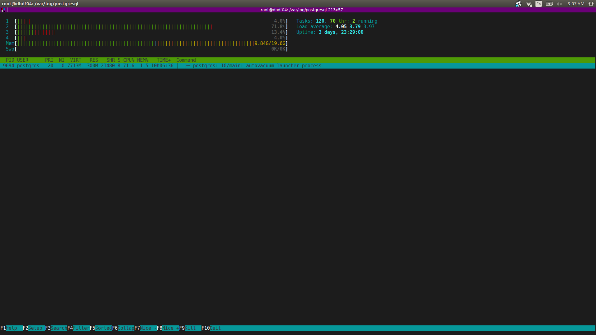 htop-autovac.png