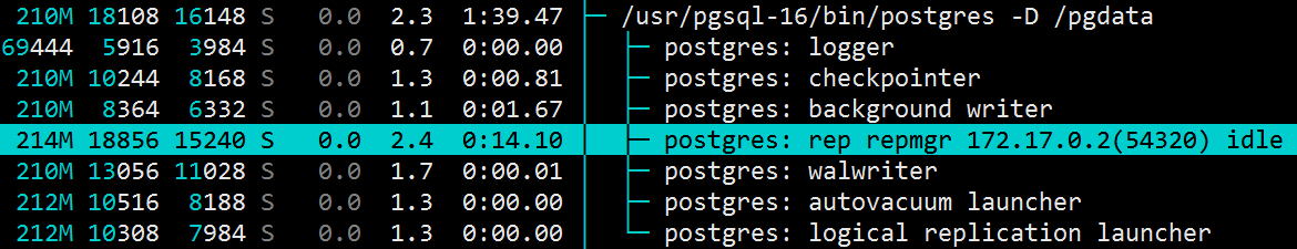 repmgr-pg.png