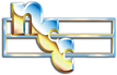 Network and computing consultants
