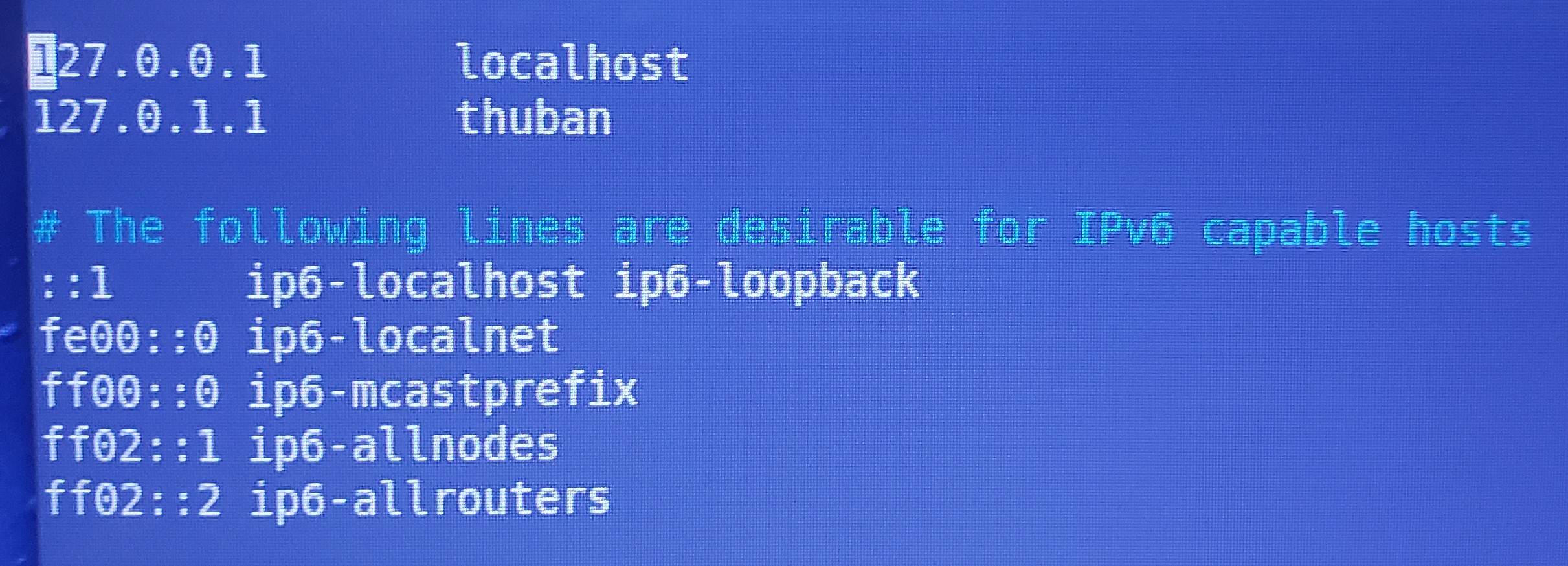 Hosts_File.jpg