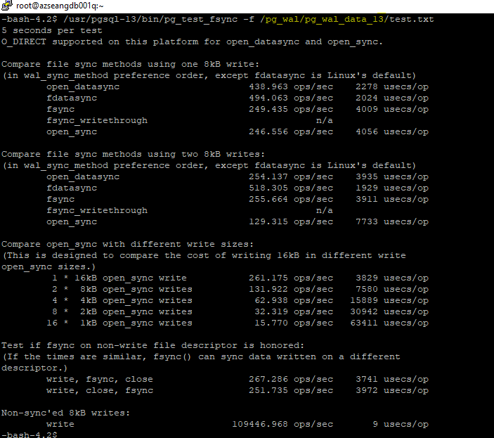 pg_test_fsync_pgsql13.png